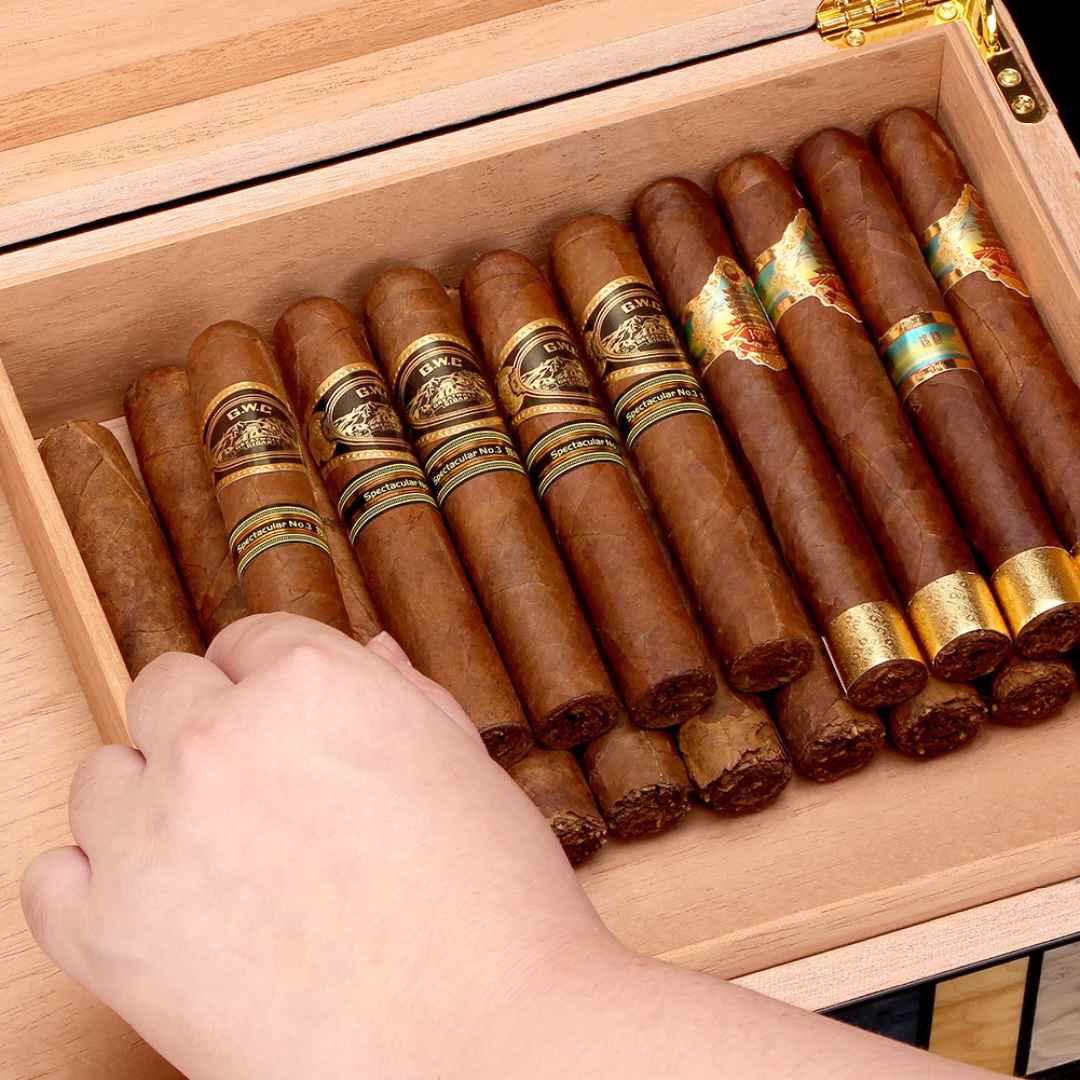 Large Capacity Cigar Humidor with Unique Abstract Design